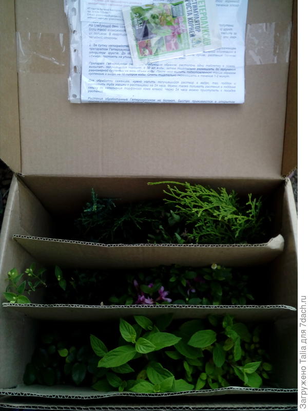 Вот так упакованы.