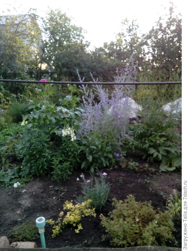 Фотографировал издали.