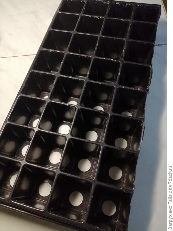 Все разрезала пополам. Перцы и баклажаны сею по семечку в ячейку.