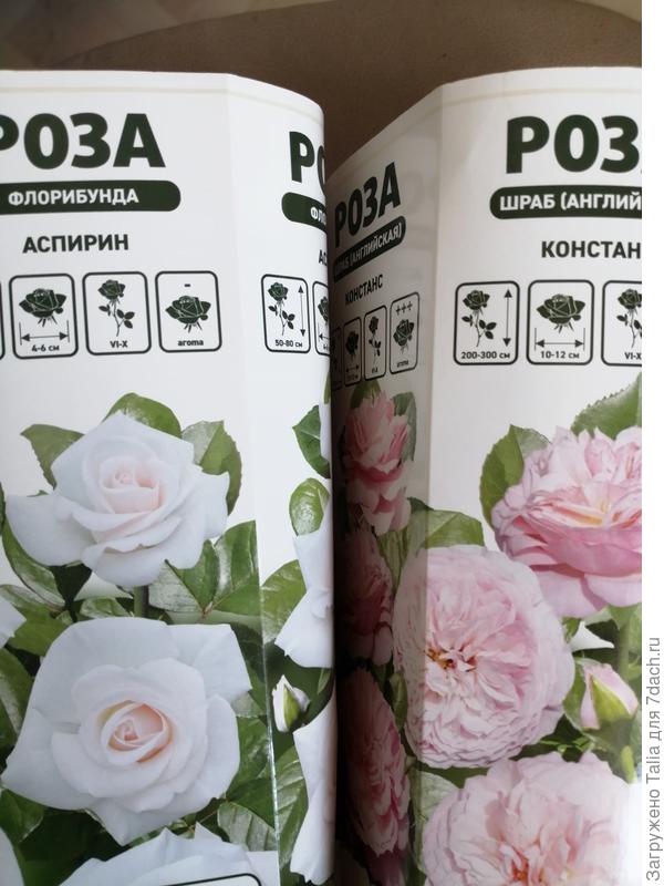 Не удержалась. Ну как пройти мимо. Фирма не знакома.