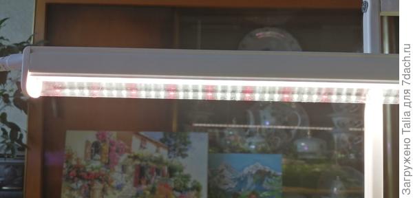 Название - фитолето.