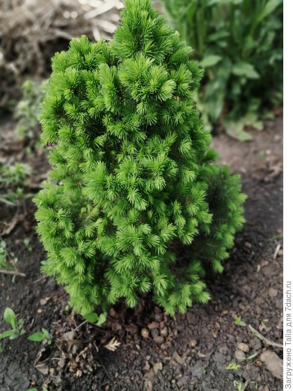 Этому все нравится.