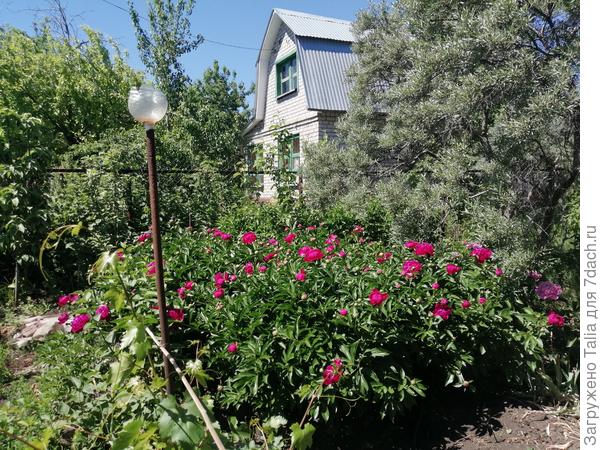 Все готовы к роспуску.