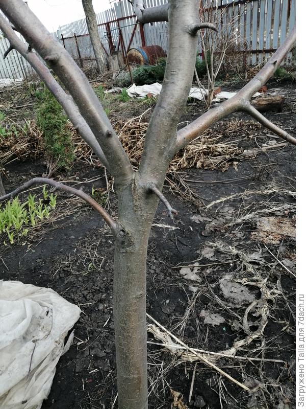 Сс другой стороны.