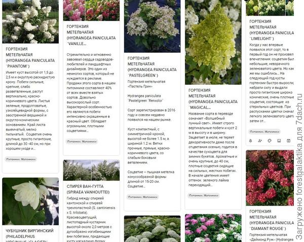 Мой каталог растений