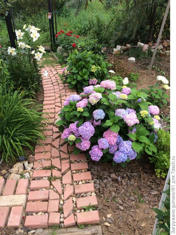 Красота все-таки летом...