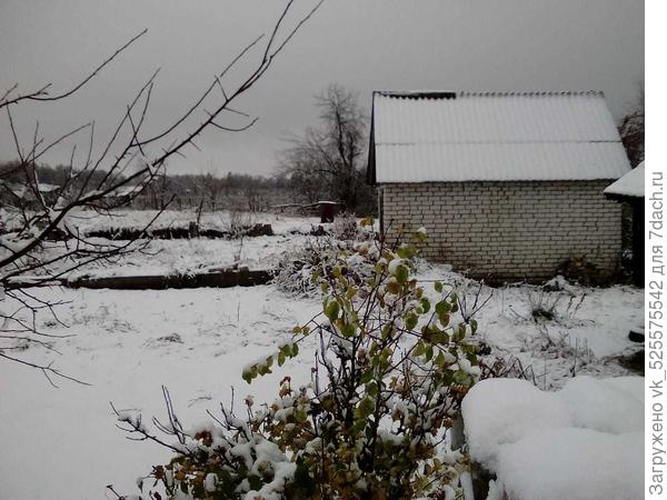 Наш участок до яблони за кирпичным домиком. Его хотим или под второй дом или под баню? Видны перепады уровней.