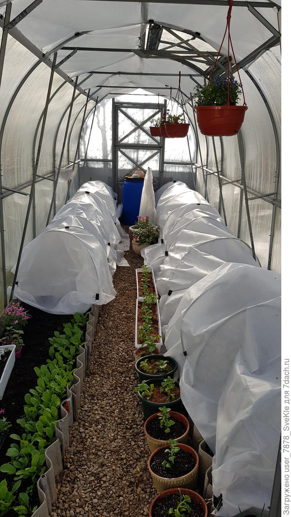 А теплица напоминает склад