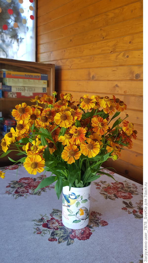 А у меня наш гелениум ассоциируется с осенью