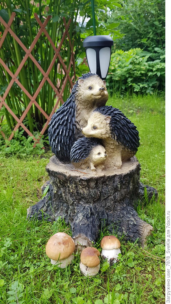 Для красоты к ёжиками поставила)))