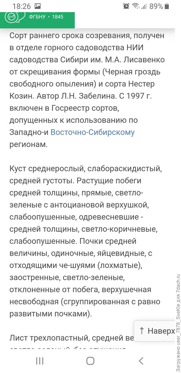 Вот что про Сокровище пишут...