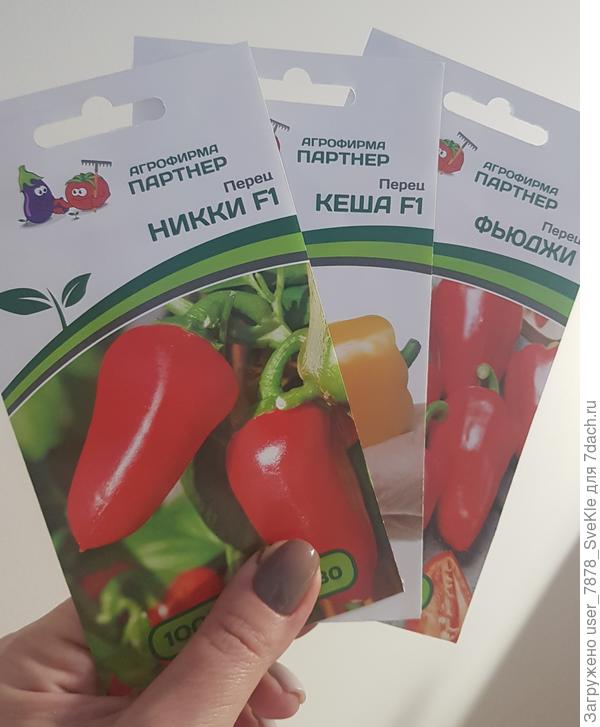 Первый шаг на пути к перцам в контейнерах сделан)
