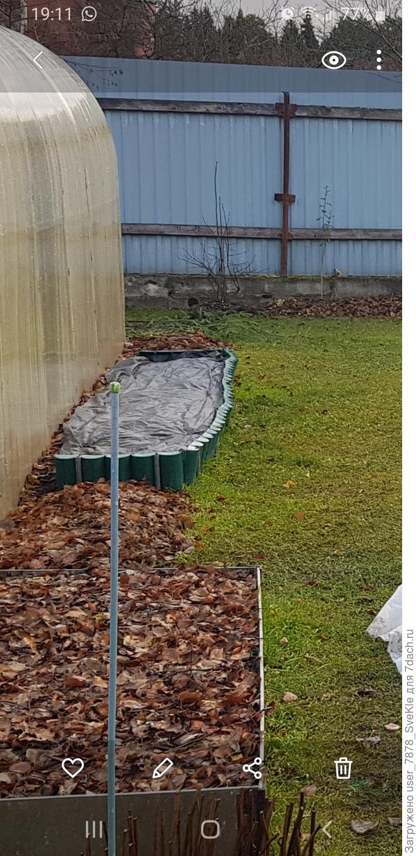 Вот кабачковая грядка сейчас выглядит у нас так