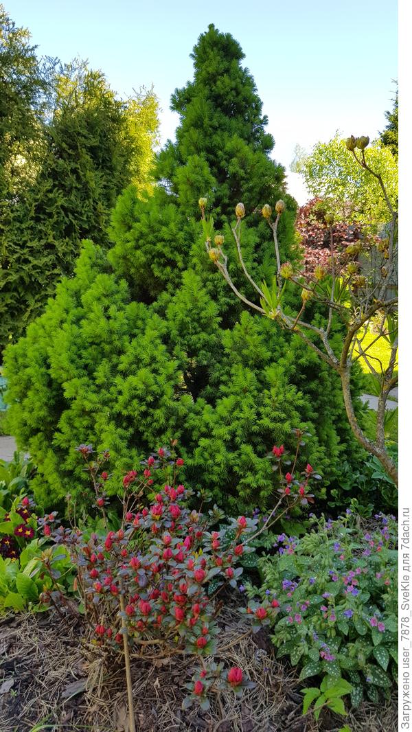 Этой &quot;обычной&quot; мнооогоо лет. Была спсена мамой в магазине на какой-то Новый год)