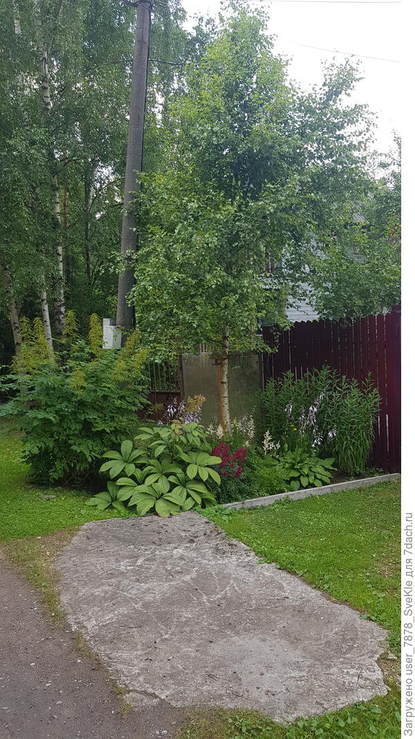 Волжанка крайняя слева