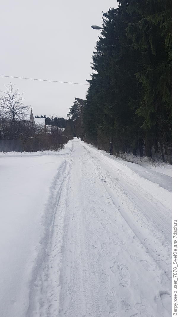 Вчера заезжали на дачу. Показалось, что там снега меньше, чем в Москве