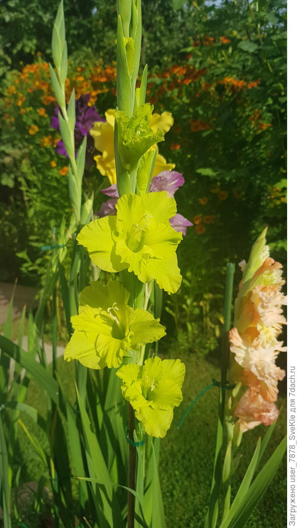 Название затерялось...