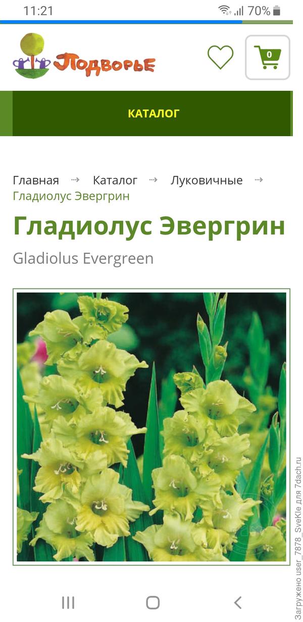 Похоже, у нас такой