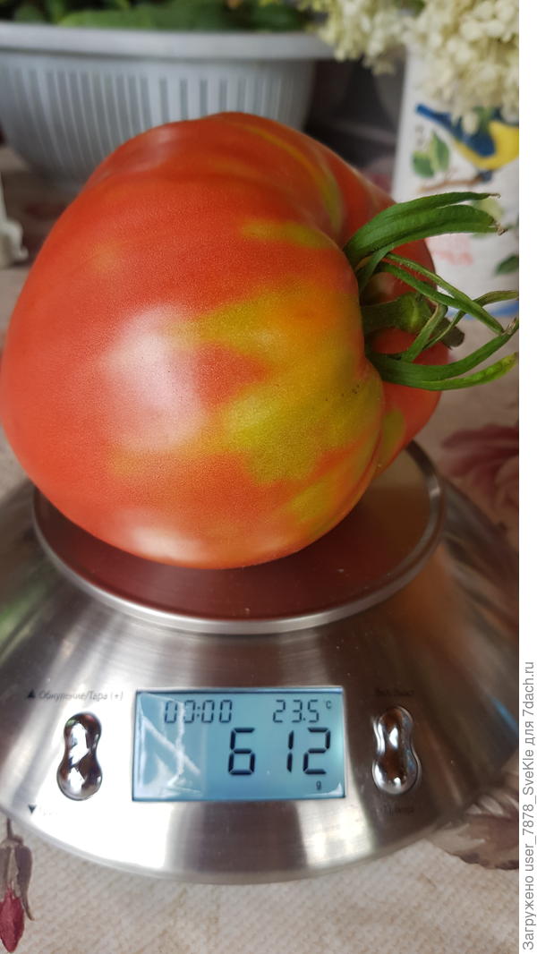 На итоге. Розовый мёд.