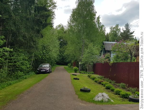 Как было, так и осталось. Только вместо зарослей шиповника цветочки растут теперь. У нас с соседкой самый идеальный угол. Между нами участок, который необитаем лет 15 точно. Мы с соседкой пополам следим, чтобы не было перед ним зарослей. Она со своей стороны окашивает , мы - со своей, встречаемся посередине)