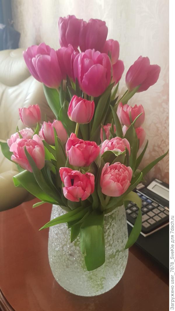 Наташа, С Днём Рождения! Здоровья Вам, счастья, мира, добра, оптимизма и богатых урожаев!