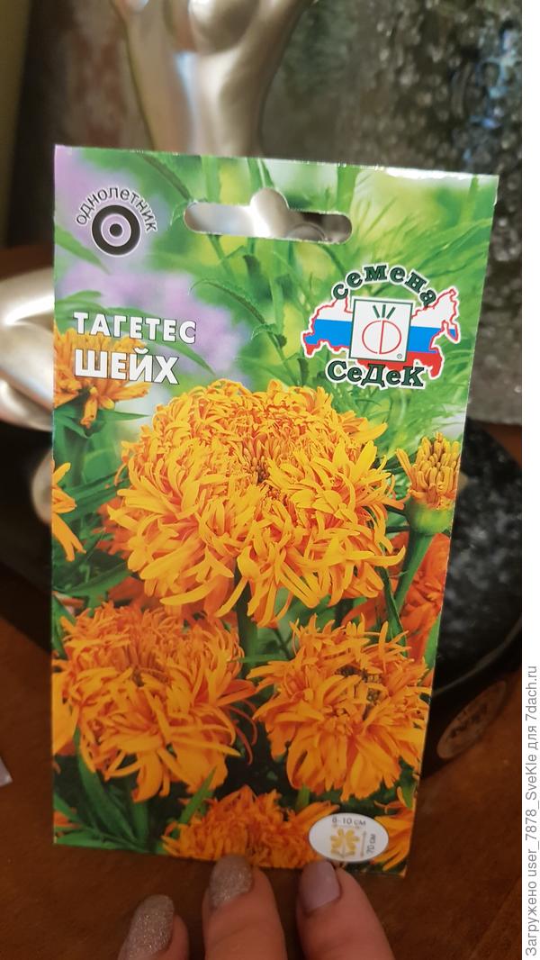 Я купила в Подворье пакетик)