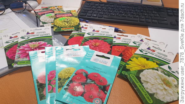 С какого бока к этой красоте подойти, решаю🤣