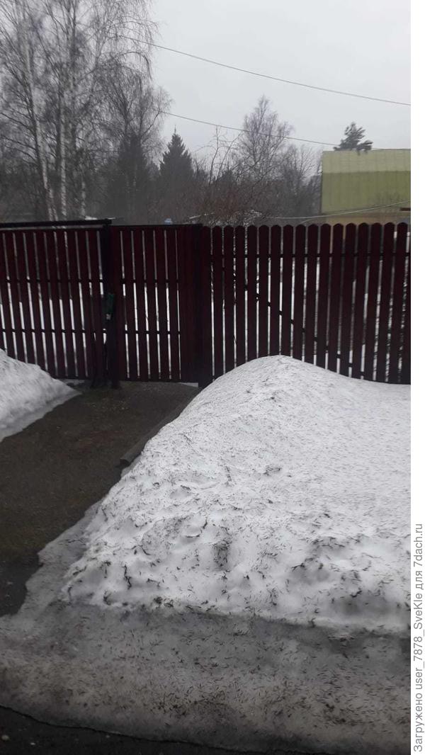 У нас дача в лесу. Снега полно, канавы полные воды.