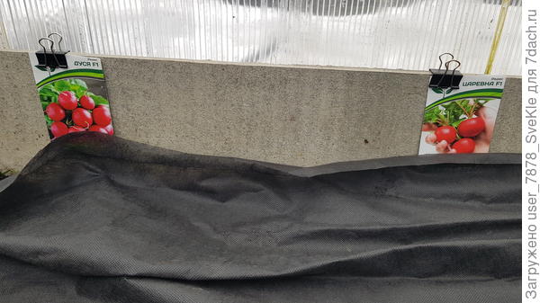 Дуся с Царевной