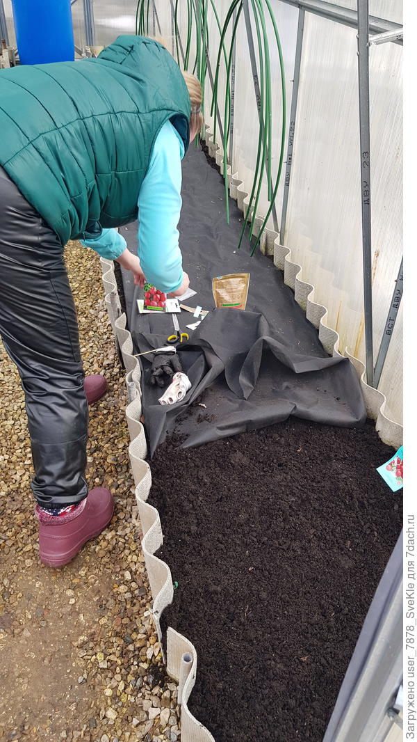 Значит, сейчас посеем))