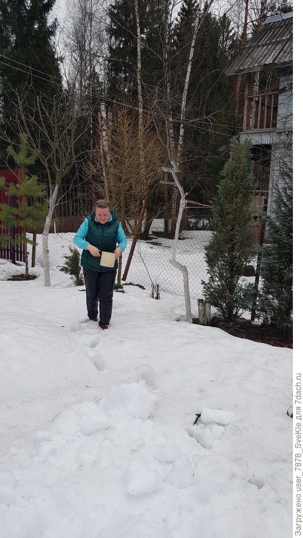 Еще 6 дней назад к кормушкам пробирались по снегу, причем слой был нехилый такой