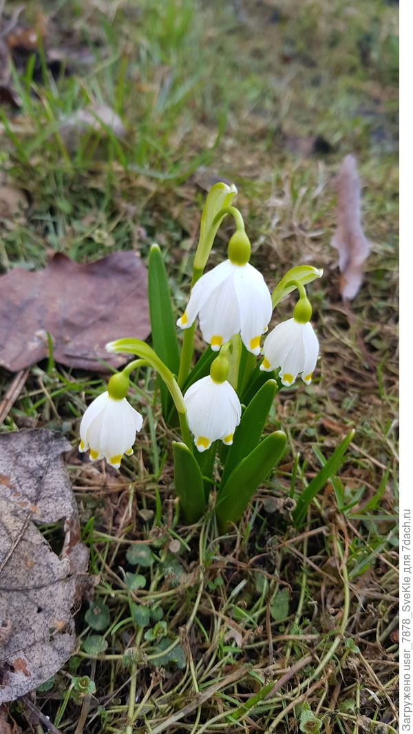 Однозначно)
