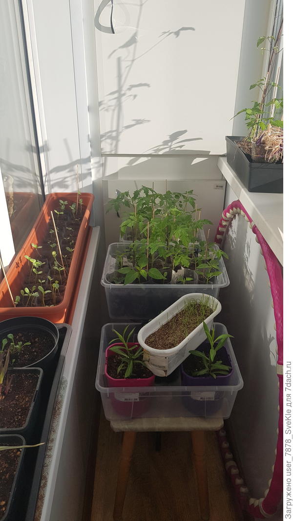 Все с балкона..