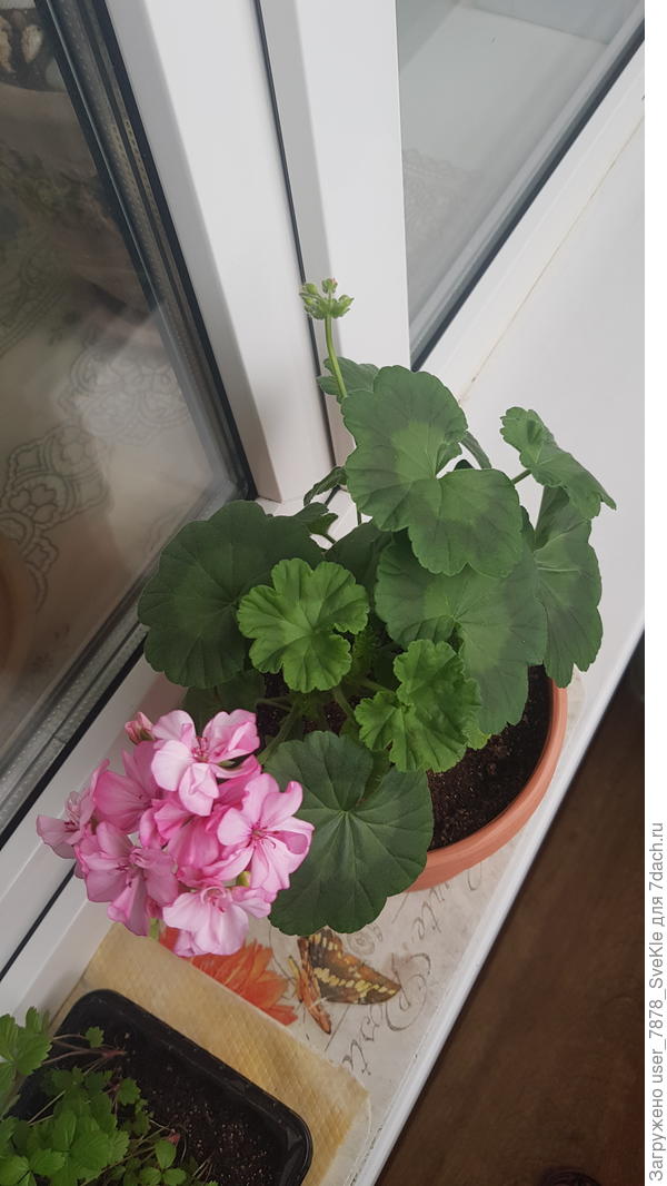 На сегодняшнее утро выглядит так🤗