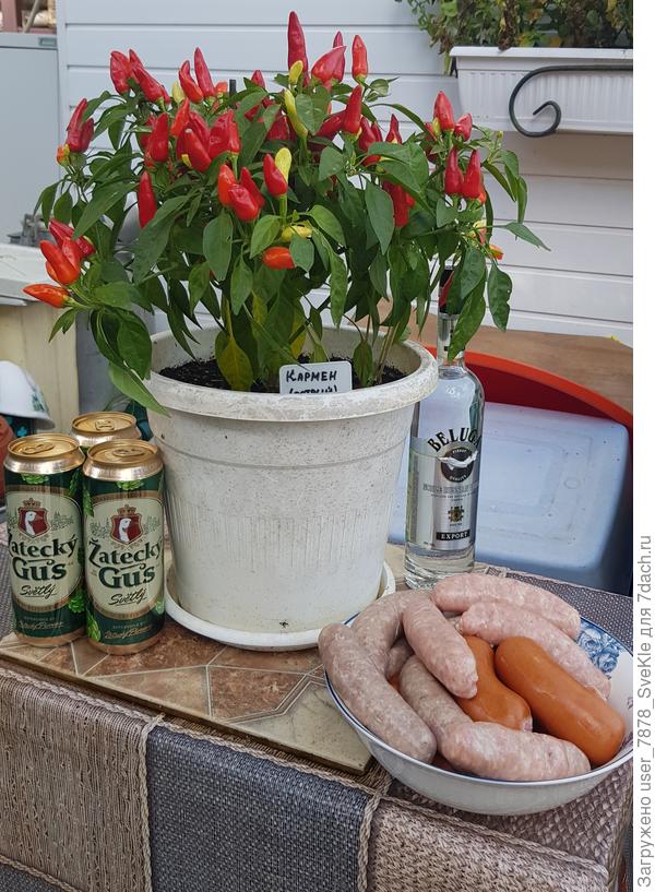 8.10.2022. Октоберфест😁