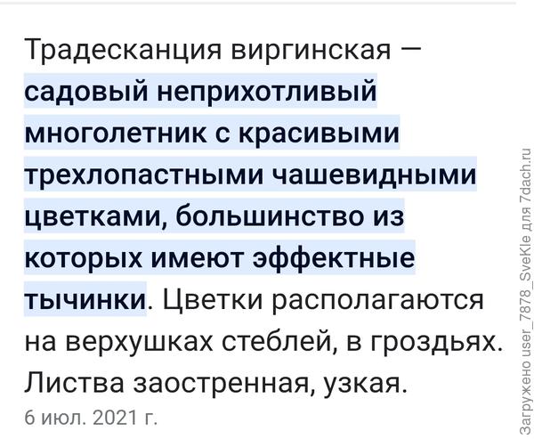 У нас такая