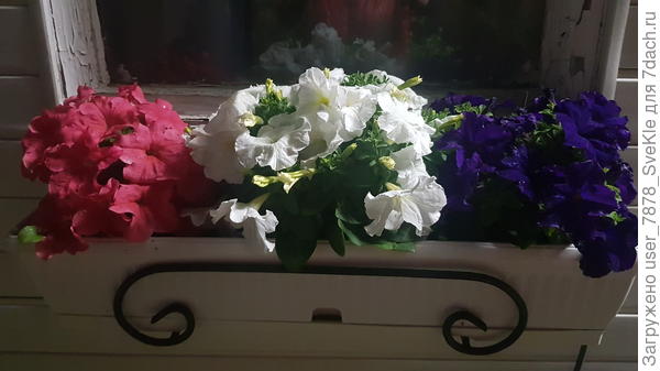 Ночной рЭпортаж