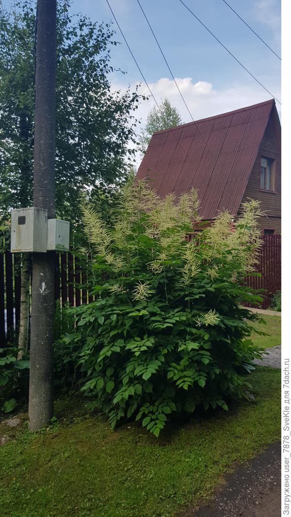 Никто не убивался, в щиток не лез. Кроме Прпвления, которое снимает показания.