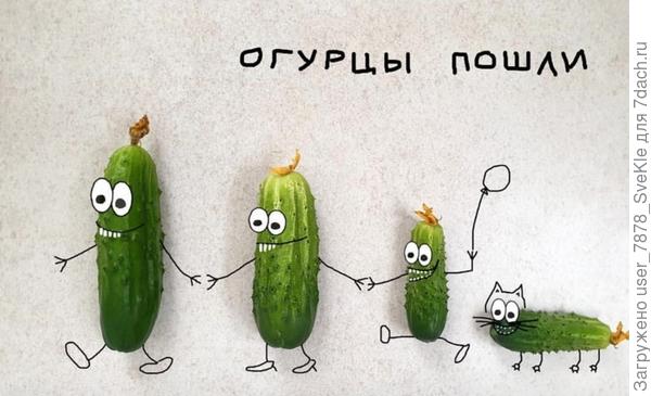 Поздравляю!