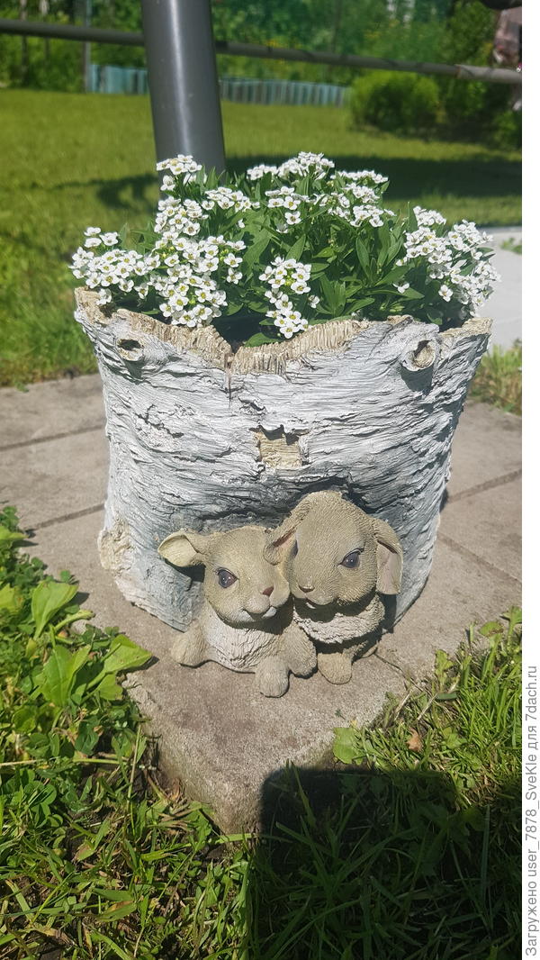 ...кашпо с зайцами.. я тоже ТАК в магазин ходить умею 🤣🤣🤣