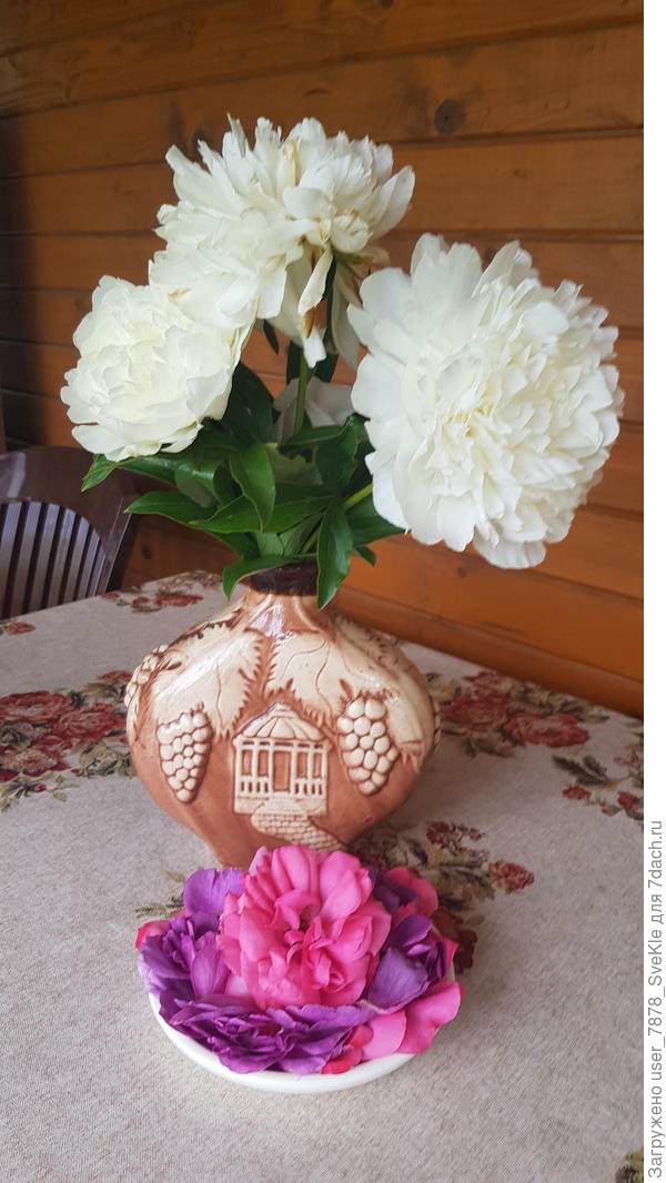 Ароматерапия из лепестков Минервы и Ютерсена