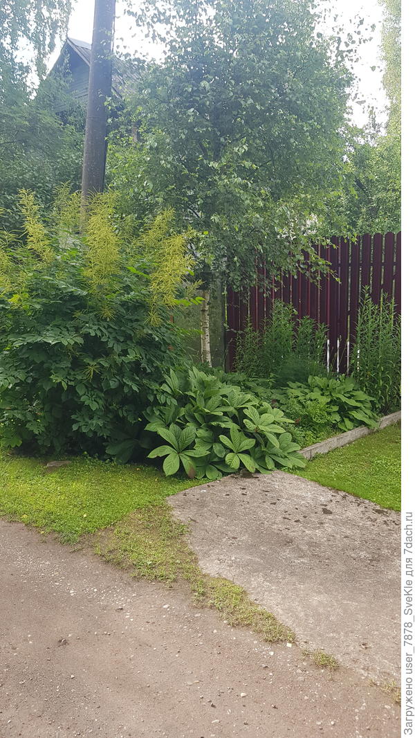 Наша роджерсия, видимо, и без свечек считает себя красивой😂