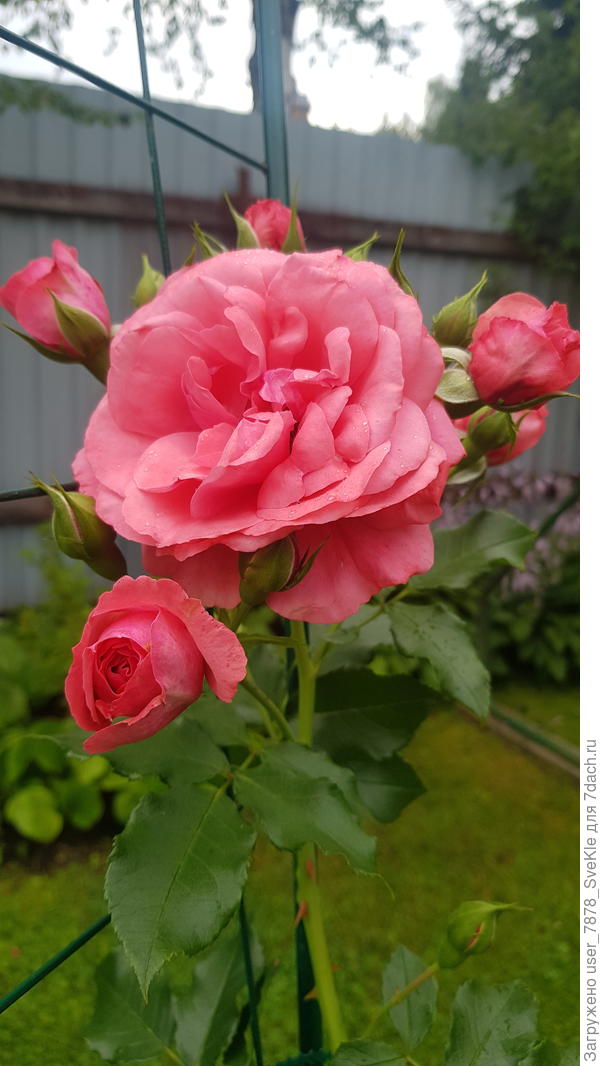 Валентина, пускай уДача будет верной спутницей, чтобы всё задуманное исполнялось!