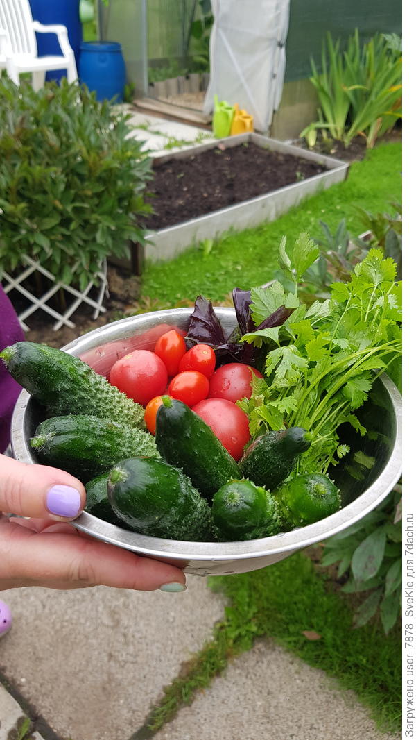 И чтоб дом - полная чаша!