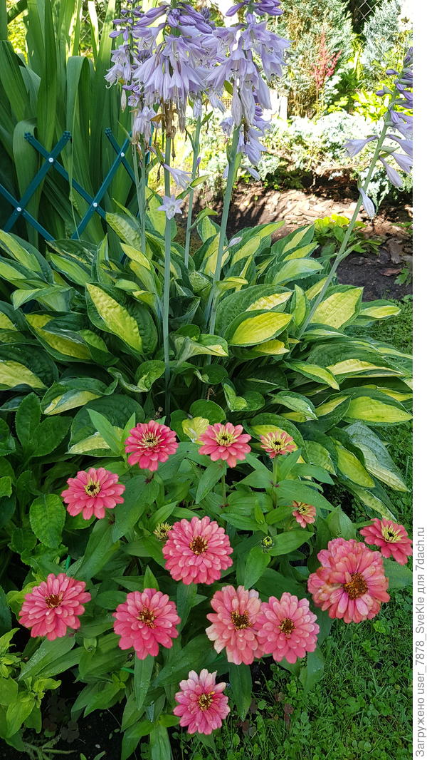 Счастья, здоровья, удачи, благополучия, душевной гармонии, радости, мира и добра🎊