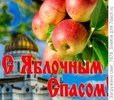 Сегодня закусываем яблочком - будем здоровы и счастливы!