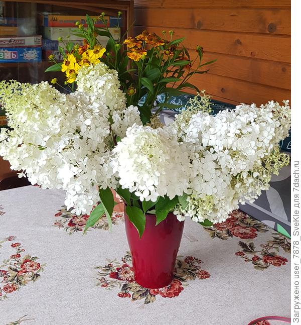 На прошлой неделе соседка ко мне на ДР с букетом пришла)))