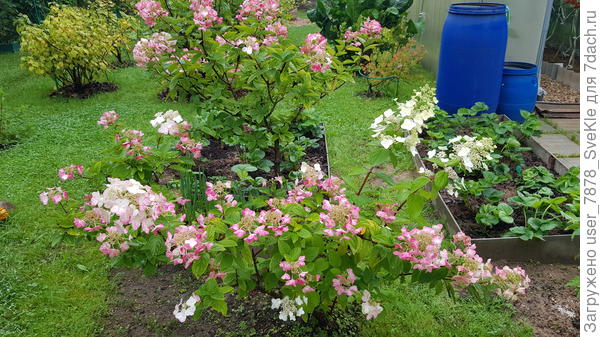 Лот 3. Общий вид