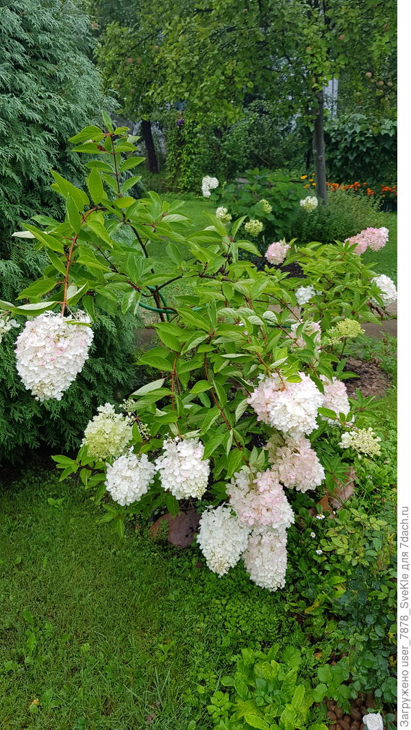 Лот 2. Общий вид