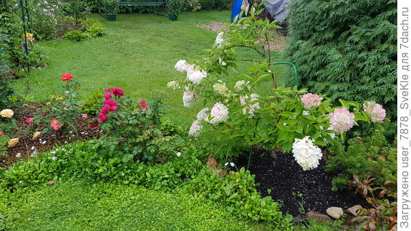 Вот с другого бока..